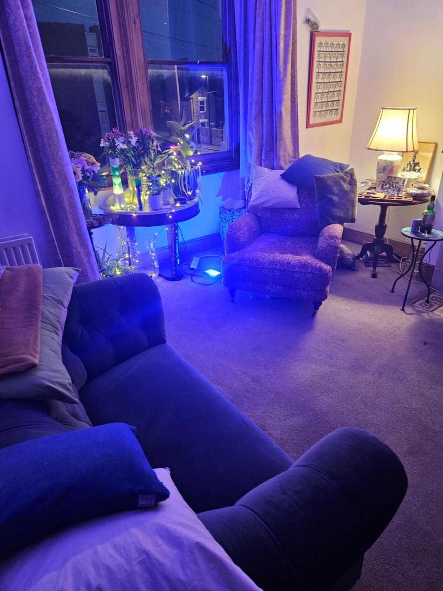 Guest house The Blue International *